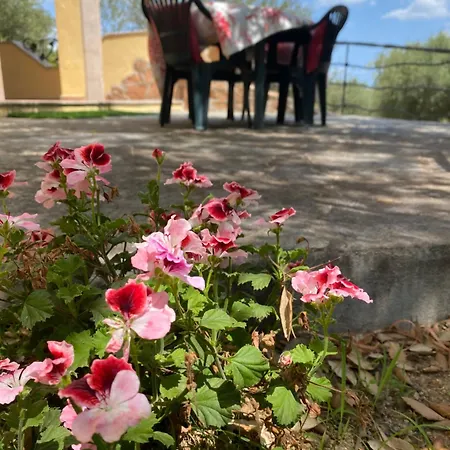 Vacanze Rosita * San Teodoro (Sardinia)